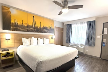 Suite, 1 King Bed, Non Smoking (Walk-In Shower, Pet-friendly)
