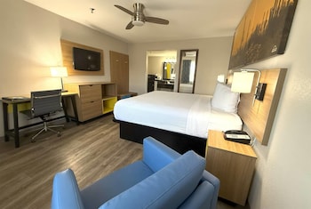 Standard Room, 1 King Bed (Standard Room, 1 King Bed (No Pets))