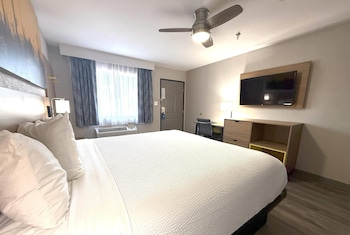 Suite, 1 King Bed, Non Smoking (Walk-In Shower, Pet-friendly)