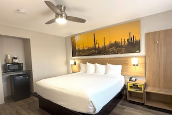 Suite, 1 King Bed, Non Smoking (Walk-In Shower, Pet-friendly)