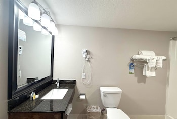 Suite, 1 King Bed, Non Smoking (Walk-In Shower, Pet-friendly)