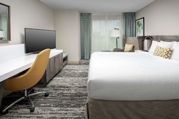 Room, 1 King Bed, Accessible (Roll-In Shower, Mobility & Hearing)