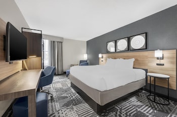 Standard Room, 1 King Bed, Non Smoking, Refrigerator & Microwave