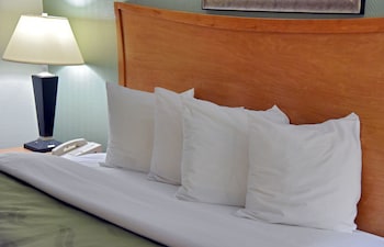 Business Suite, 1 King Bed, Non Smoking