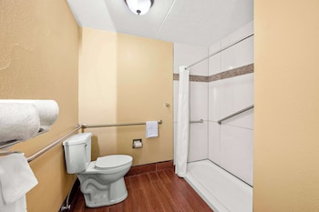 Standard Room, 1 King Bed, Accessible, Bathtub