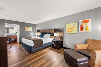 Standard Room, 1 King Bed, Smoking, Refrigerator & Microwave