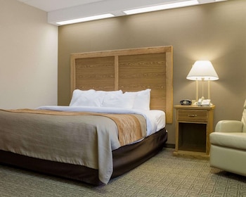 Standard Room, 1 Queen Bed, Non Smoking