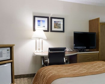 Standard Room, 2 Double Beds, Non Smoking