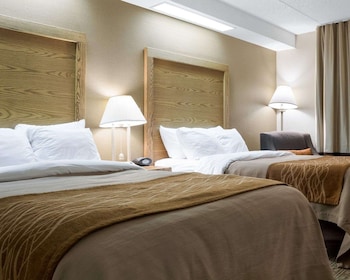Standard Room, 2 Double Beds, Non Smoking
