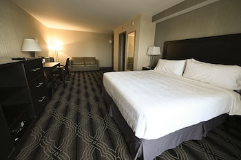 Standard Room, 1 King Bed with Sofa bed