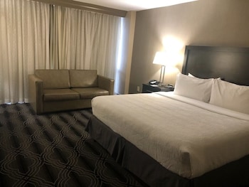 Standard Room, 1 King Bed with Sofa bed