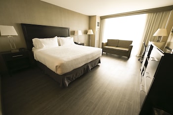 Standard Room, 1 King Bed with Sofa bed