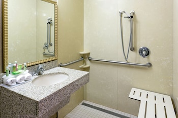 Standard Room, 1 King Bed (Communication, Roll-In Shower)