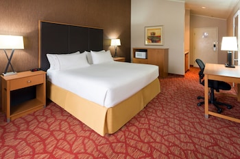 Suite, 1 King Bed (Additional Living Area)