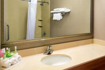 Suite, 1 King Bed (Additional Living Area)