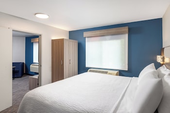 Suite, 1 King Bed with Sofa bed