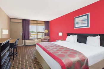 Room, 1 King Bed (Optional Smoking)