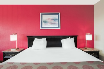 Room, 1 King Bed (Optional Smoking)