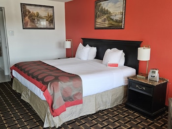 Room, 1 King Bed (Optional Smoking)