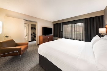 Suite, 1 King Bed with Sofa bed, Accessible (Mobility Tub One Bedroom)