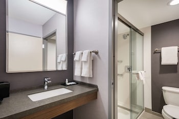Superior Suite, 1 King Bed with Sofa bed (One Bedroom)