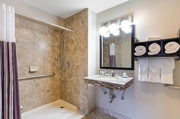 Standard Room, 2 Double Beds, Accessible, Refrigerator & Microwave