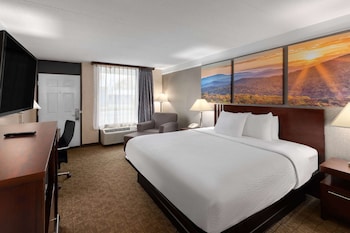 Room, 1 King Bed, Accessible, Non Smoking (Mobility, Tub w/ Grab Bars)