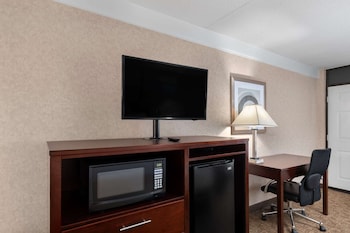 Room, 1 King Bed, Accessible, Non Smoking (Mobility, Tub w/ Grab Bars)