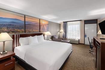Room, 1 King Bed, Non Smoking