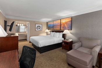 Room, 1 King Bed, Non Smoking