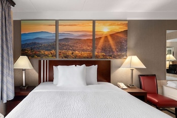 Premier Room, 1 King Bed, Non Smoking