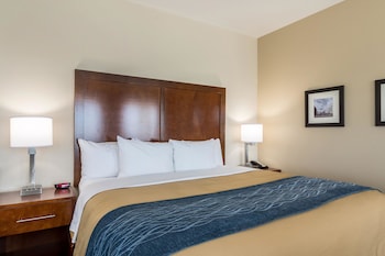 Room, 1 King Bed, Accessible, Non Smoking