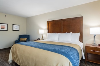 Room, 1 King Bed, Accessible, Non Smoking