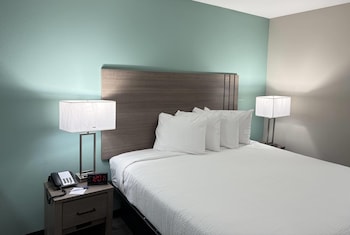 Room, 1 King Bed, Non Smoking