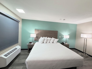 Room, 1 King Bed, Accessible, Non Smoking (Roll-In Shower)