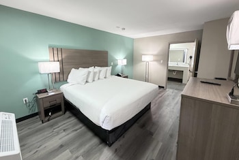 Room, 1 King Bed, Accessible, Non Smoking (Roll-In Shower)