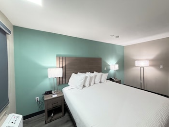 Room, 1 King Bed, Accessible, Non Smoking (Roll-In Shower)