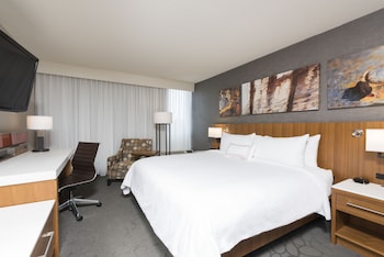 Room, 1 King Bed, Transfer Shower, Non Smoking