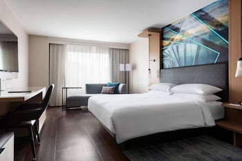 Room, 1 King Bed (Mobility Accessible, Roll-in Shower)
