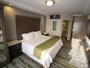 Executive Studio Suite