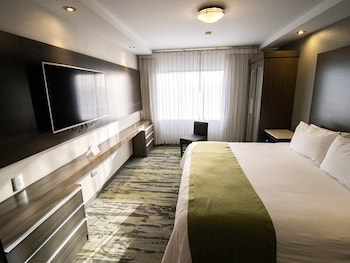 Executive Studio Suite
