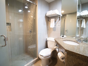 Superior Single Room, 1 King Bed