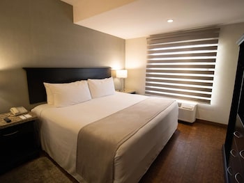 Executive Single Room, 1 King Bed
