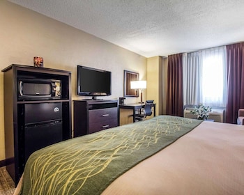 Standard Room, 1 King Bed, Non Smoking