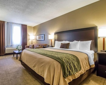 Standard Room, 1 King Bed, Non Smoking