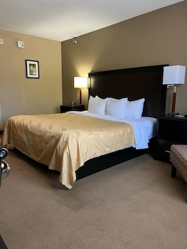 Room, 1 King Bed, Accessible, Non Smoking