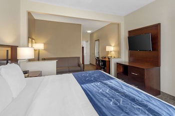 Suite, 1 King Bed with Sofa bed, Accessible, Non Smoking