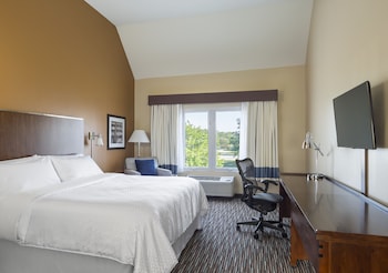 Room, 1 King Bed