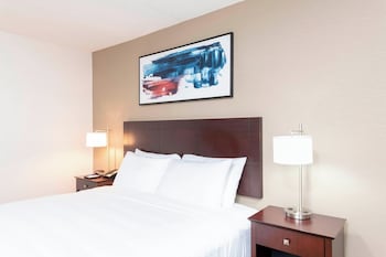 Standard Room, 1 Queen Bed (Mobility Accessible, Roll-in Shower)