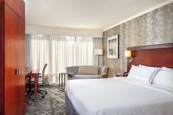 Room, 1 King Bed